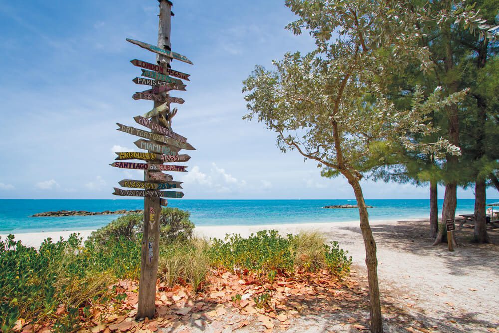 The Best Hiking Trails in Key West